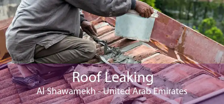 Roof Leaking Al Shawamekh - United Arab Emirates