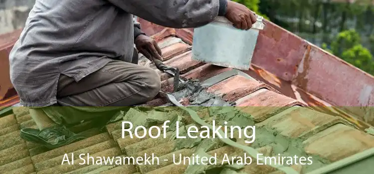 Roof Leaking Al Shawamekh - United Arab Emirates