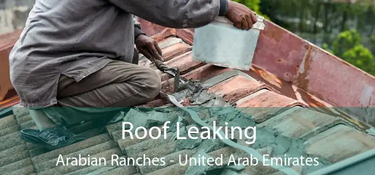 Roof Leaking Arabian Ranches - United Arab Emirates