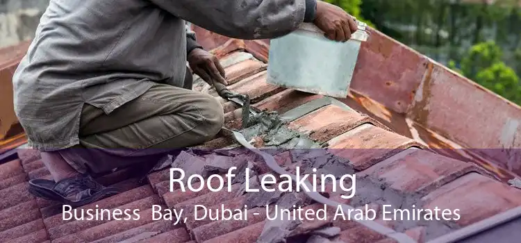 Roof Leaking Business  Bay, Dubai - United Arab Emirates