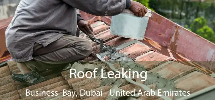 Roof Leaking Business  Bay, Dubai - United Arab Emirates