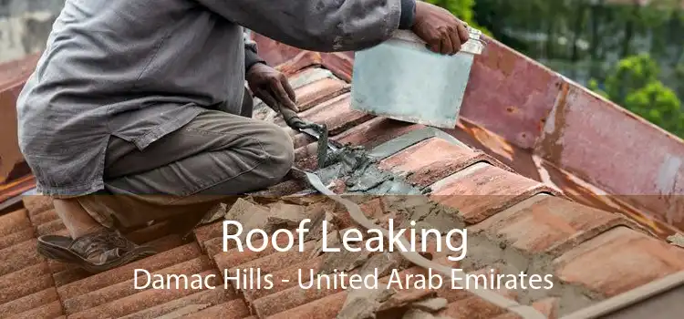 Roof Leaking Damac Hills - United Arab Emirates