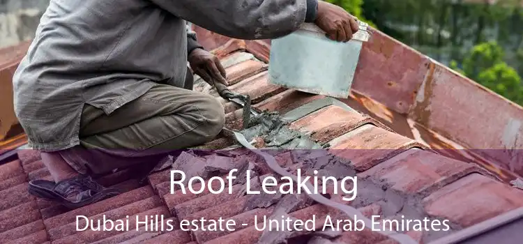Roof Leaking Dubai Hills estate - United Arab Emirates