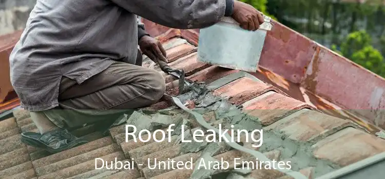 Roof Leaking Dubai - United Arab Emirates