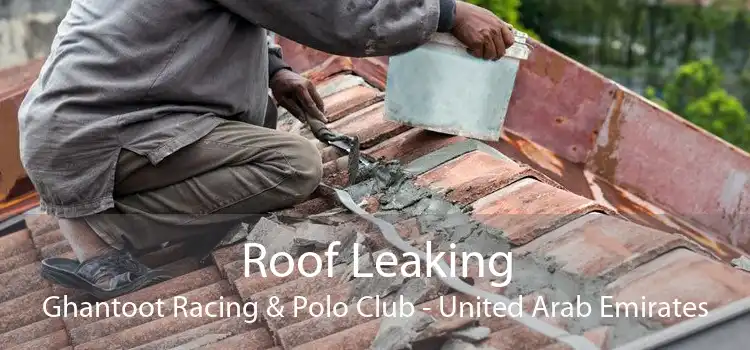 Roof Leaking Ghantoot Racing & Polo Club - United Arab Emirates