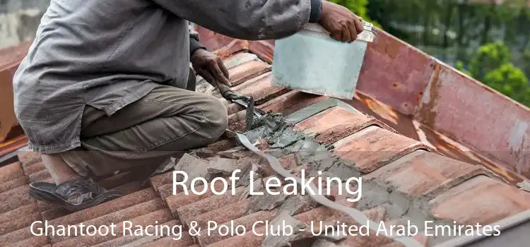 Roof Leaking Ghantoot Racing & Polo Club - United Arab Emirates