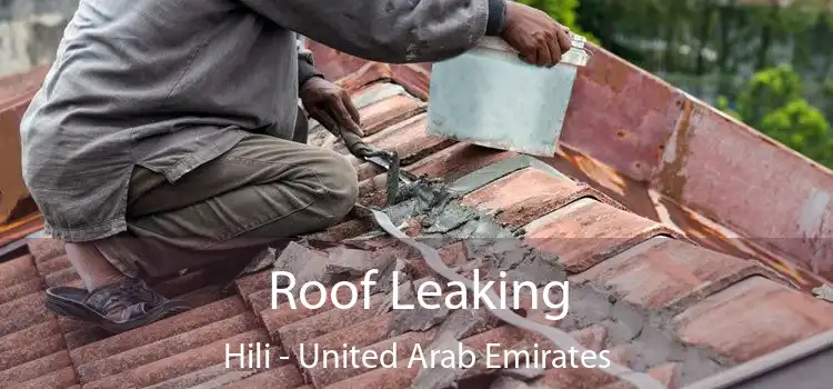 Roof Leaking Hili - United Arab Emirates