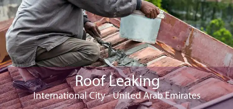 Roof Leaking International City - United Arab Emirates
