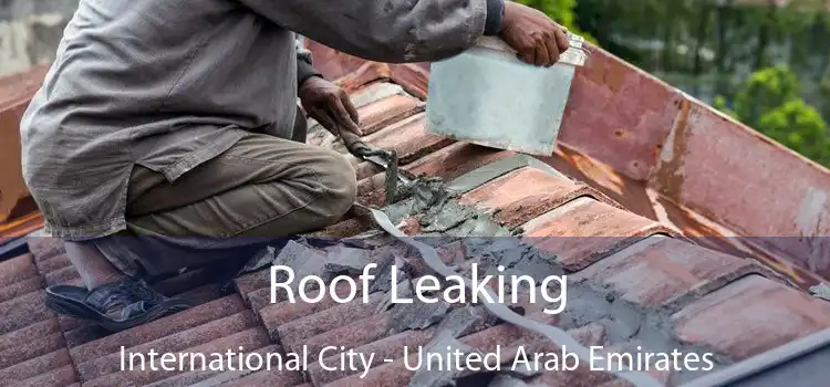 Roof Leaking International City - United Arab Emirates