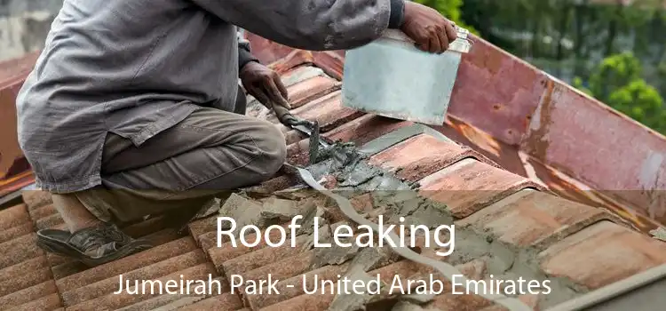 Roof Leaking Jumeirah Park - United Arab Emirates