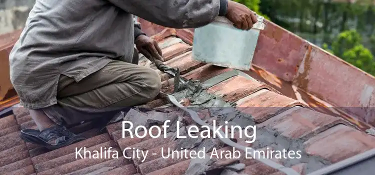 Roof Leaking Khalifa City - United Arab Emirates