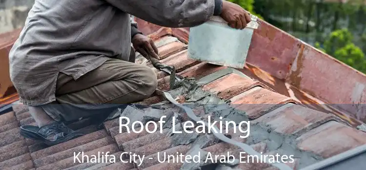 Roof Leaking Khalifa City - United Arab Emirates