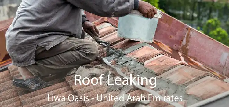 Roof Leaking Liwa Oasis - United Arab Emirates