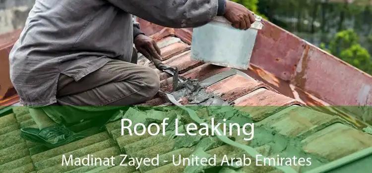 Roof Leaking Madinat Zayed - United Arab Emirates