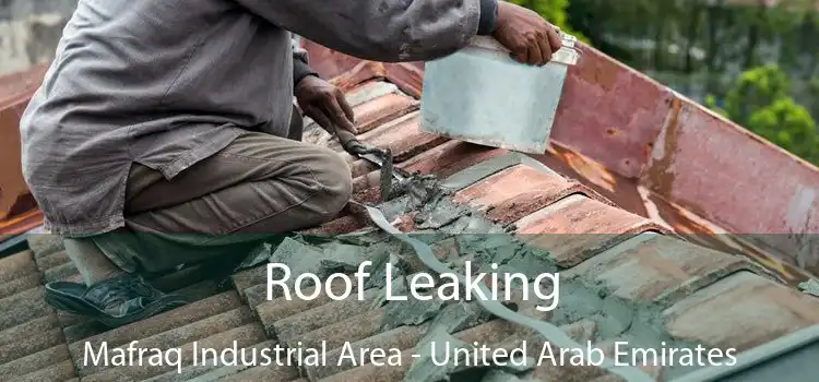 Roof Leaking Mafraq Industrial Area - United Arab Emirates