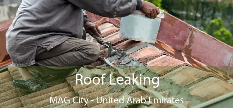 Roof Leaking MAG City - United Arab Emirates