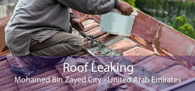 Roof Leaking Mohamed Bin Zayed City - United Arab Emirates