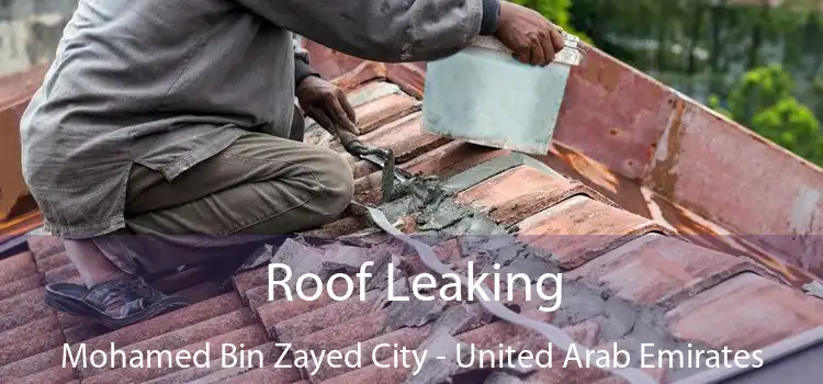 Roof Leaking Mohamed Bin Zayed City - United Arab Emirates