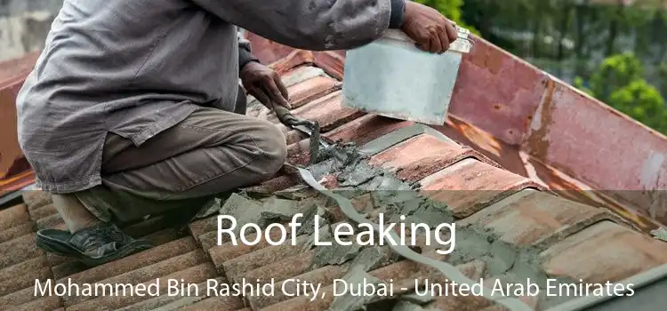 Roof Leaking Mohammed Bin Rashid City, Dubai - United Arab Emirates