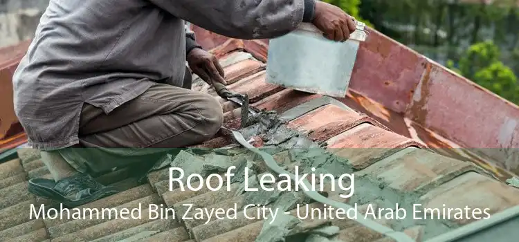 Roof Leaking Mohammed Bin Zayed City - United Arab Emirates