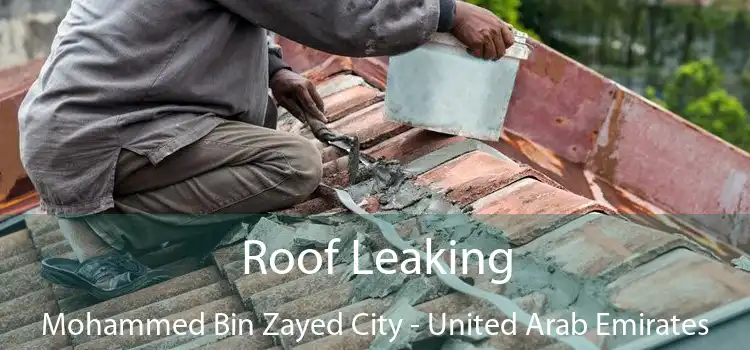 Roof Leaking Mohammed Bin Zayed City - United Arab Emirates