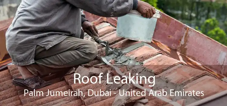 Roof Leaking Palm Jumeirah, Dubai - United Arab Emirates