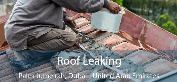 Roof Leaking Palm Jumeirah, Dubai - United Arab Emirates