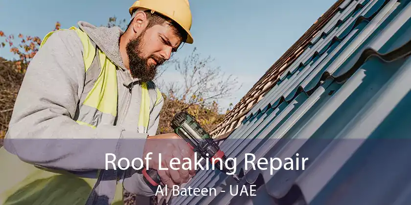  Roof Leaking Repair Al Bateen - UAE