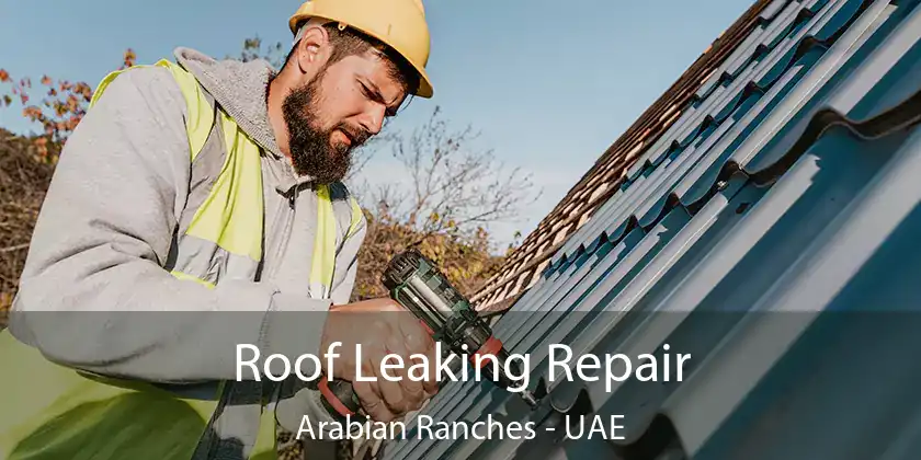  Roof Leaking Repair Arabian Ranches - UAE