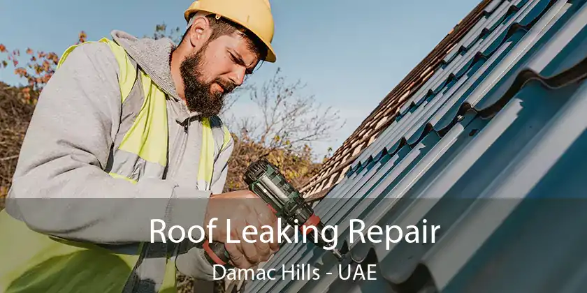 Roof Leaking Repair Damac Hills - UAE