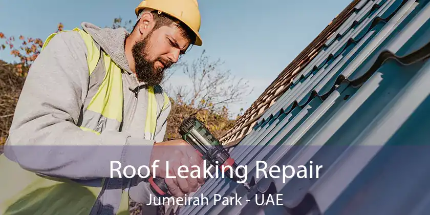 Roof Leaking Repair Jumeirah Park - UAE
