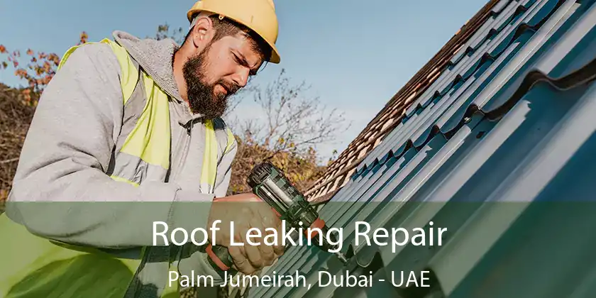  Roof Leaking Repair Palm Jumeirah, Dubai - UAE
