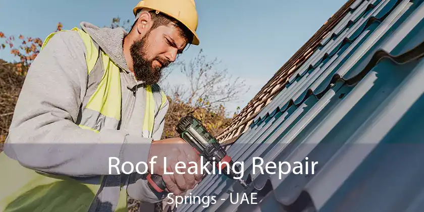  Roof Leaking Repair Springs - UAE