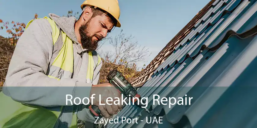  Roof Leaking Repair Zayed Port - UAE