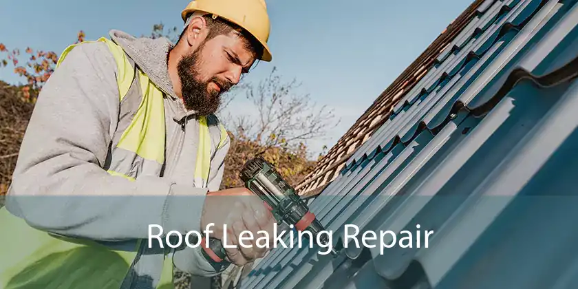  Roof Leaking Repair 