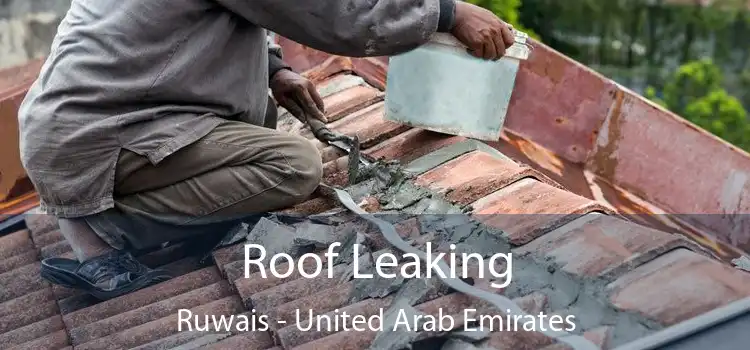 Roof Leaking Ruwais - United Arab Emirates