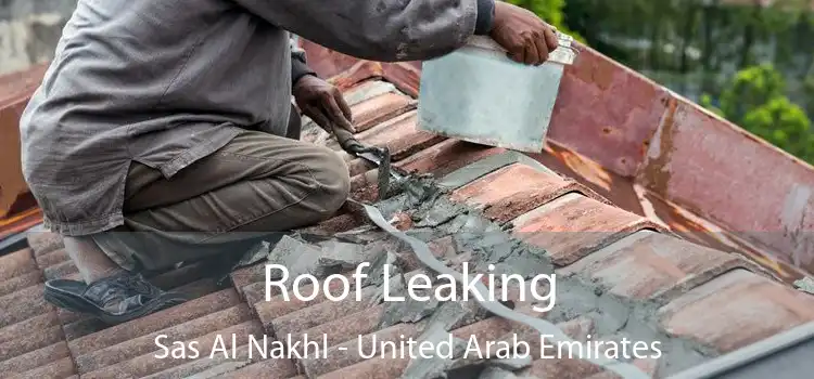 Roof Leaking Sas Al Nakhl - United Arab Emirates