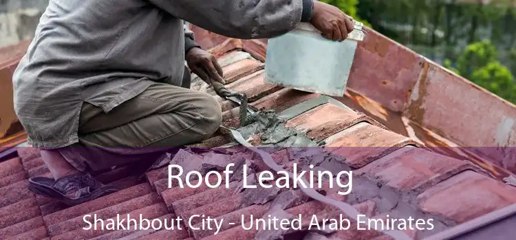 Roof Leaking Shakhbout City - United Arab Emirates