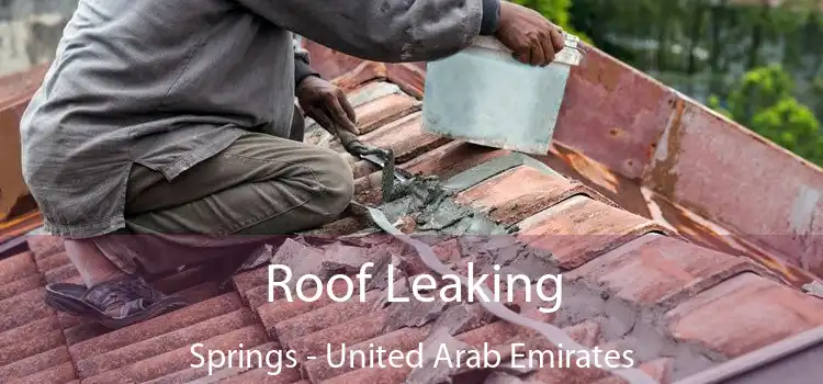 Roof Leaking Springs - United Arab Emirates