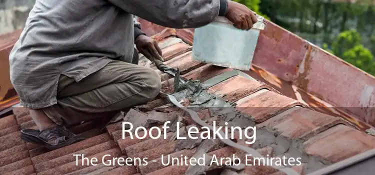 Roof Leaking The Greens - United Arab Emirates