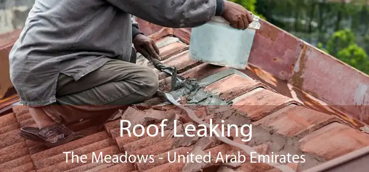 Roof Leaking The Meadows - United Arab Emirates
