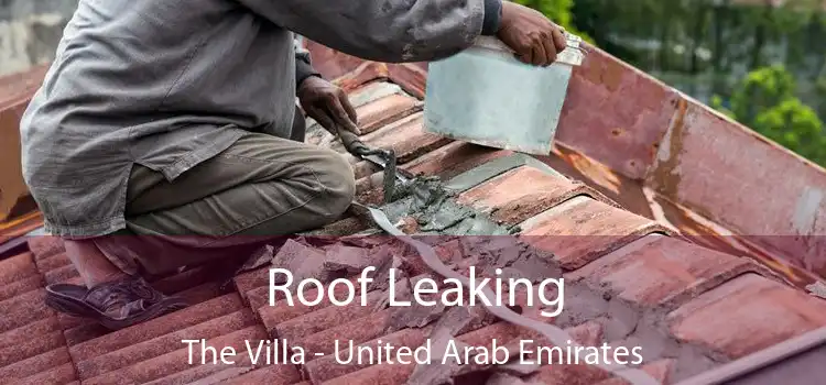 Roof Leaking The Villa - United Arab Emirates