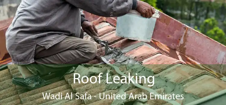 Roof Leaking Wadi Al Safa - United Arab Emirates