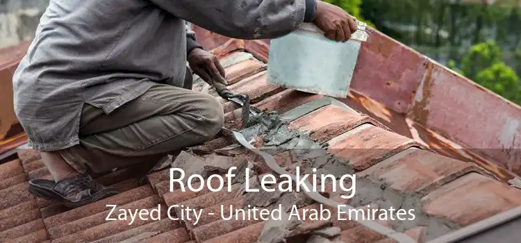 Roof Leaking Zayed City - United Arab Emirates