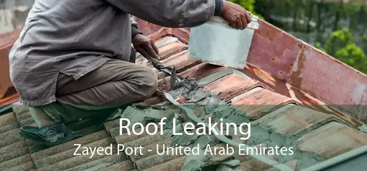 Roof Leaking Zayed Port - United Arab Emirates