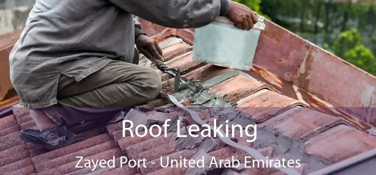 Roof Leaking Zayed Port - United Arab Emirates