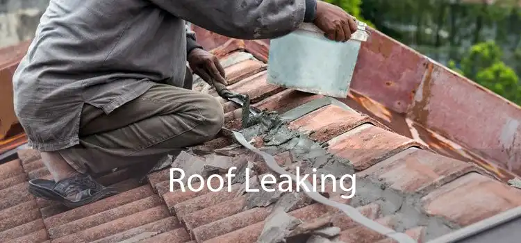 Roof Leaking 