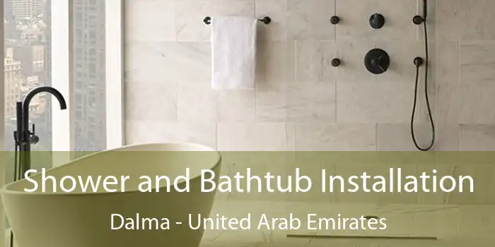 Shower and Bathtub Installation Dalma - United Arab Emirates