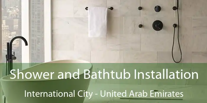 Shower and Bathtub Installation International City - United Arab Emirates