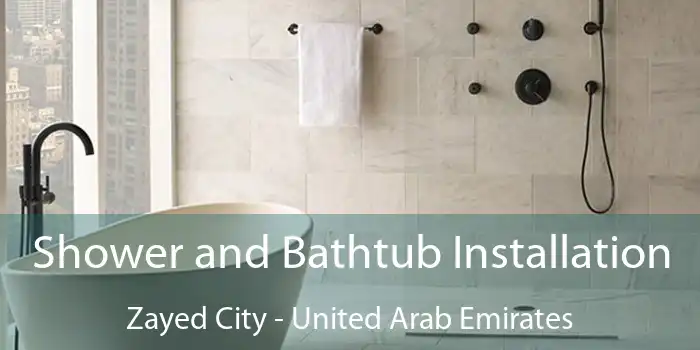 Shower and Bathtub Installation Zayed City - United Arab Emirates